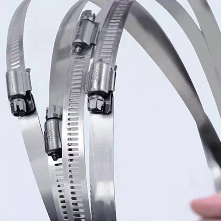 Custom-sized Stainless Steel Hose Clamps best